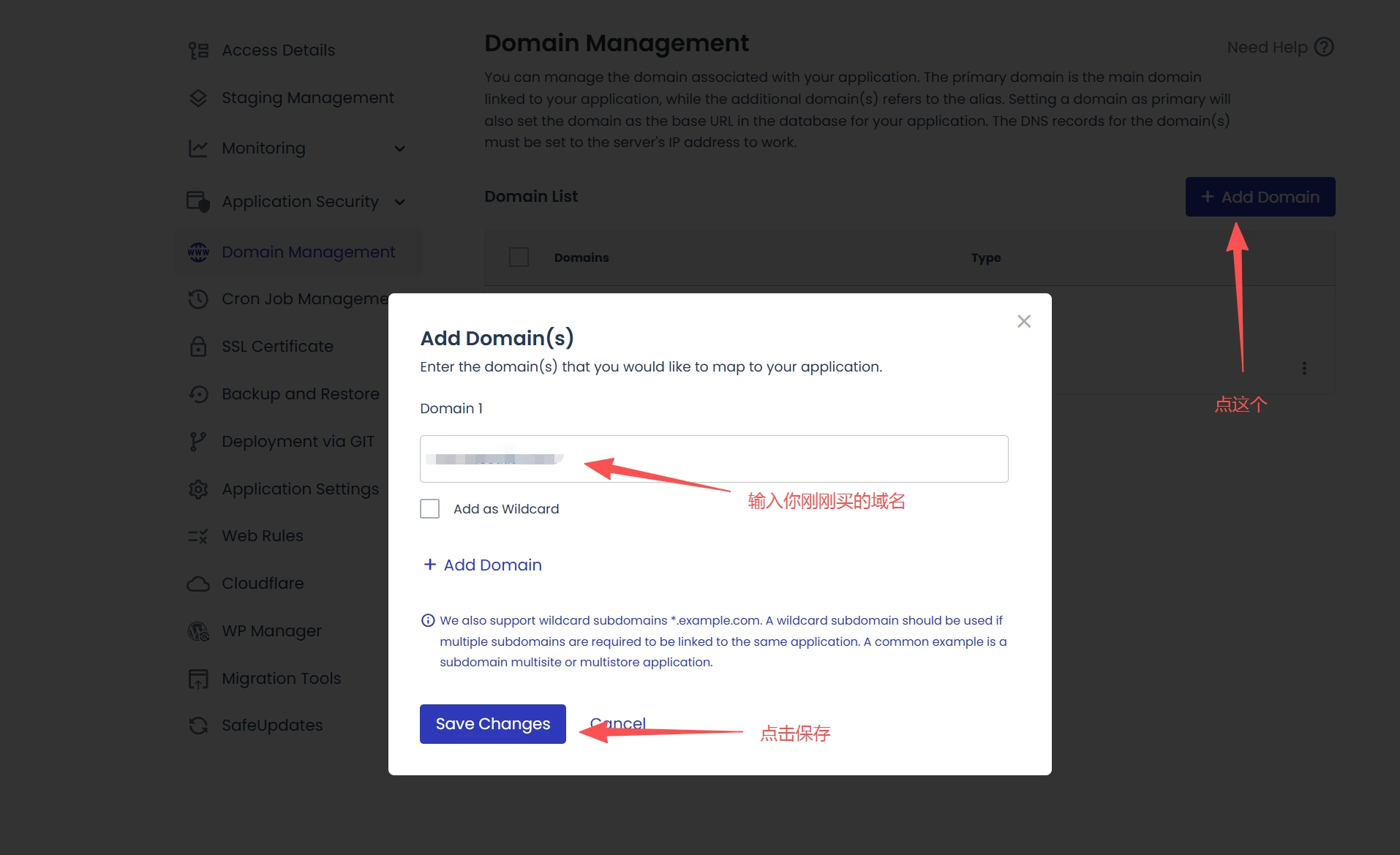 在cloudways添加你刚刚购买的域名