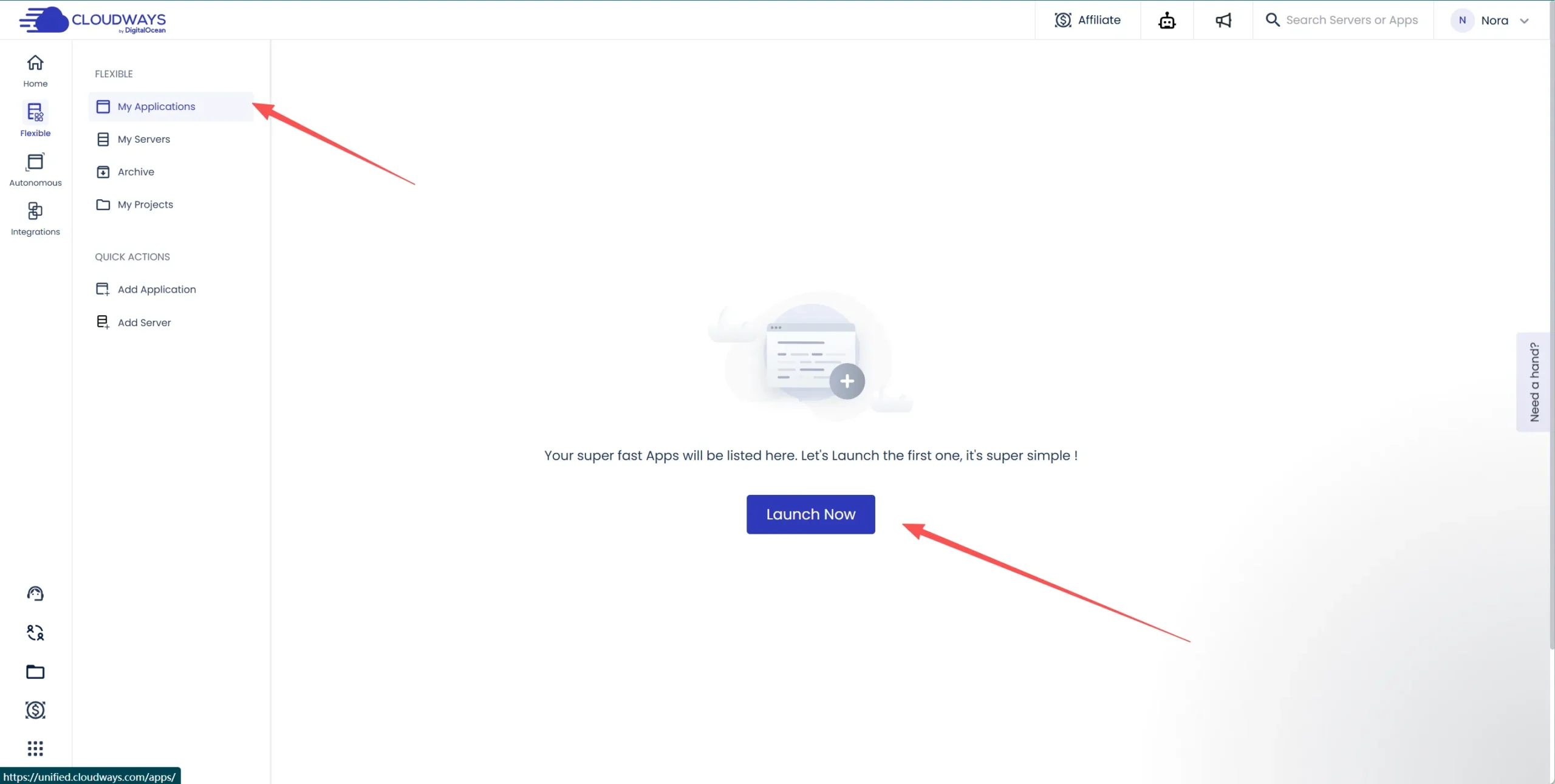 进入 cloudways 的 application 界面
